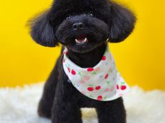 -喵汪宠物生活馆(涞坊路店)