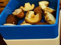 蘑菇-井口火火锅