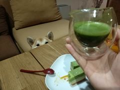 -柴务处·柴犬主题狗咖
