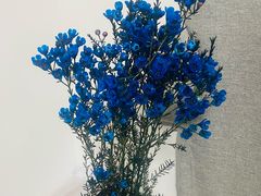 -双季花艺园艺市场(浦东店)