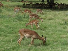 -卡塞拉自然公园