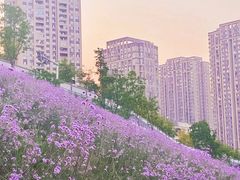 -石井坡(地铁站)