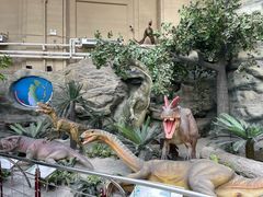 -国家自然博物馆