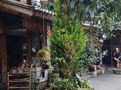 -青城甲(青城山店)