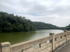 -李小龙乐园(顺德均安店)