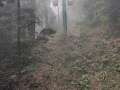 -缙云山索道售票处