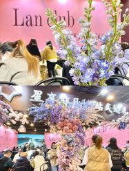 -蘭club婚礼策划