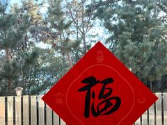 -莫内艺术岛海景咖啡