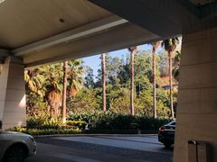 -厦门艾美酒店·乐美中餐厅