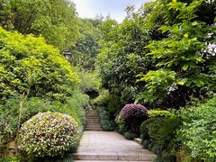 -杭州半山国家森林公园