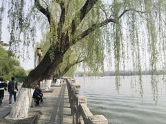 -济南大明湖景区