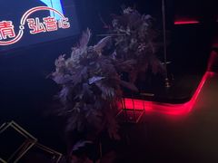 -黑桃K生日订制KTV