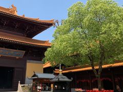 -亭林园-华藏寺