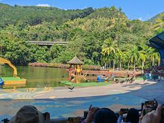 -西双版纳原始森林公园