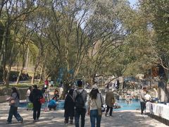 -东明山森林公园