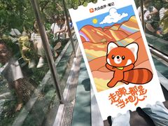 -嵖岈山风景区