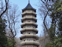-灵谷景区