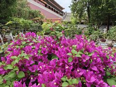 -北京市劳动人民文化宫(太庙)