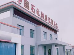 -柯鲁克服务区(德小高速小柴旦方向)