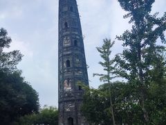 -上海佘山国家森林公园天马山园