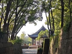 -上海方塔园
