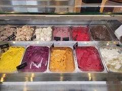 -Patagonia Chocolates(皇后镇店)