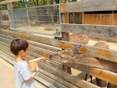-圣露庄园·露营·烤肉·亲子