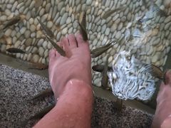 -明谷行馆·温泉