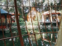 -二荆条·蜀鲜汇城市森林火锅