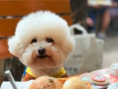 -申德勒加油站西餐厅(日坛路总店)