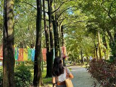 -东南花都花博园