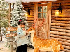 -HERRE·FARM 赫尔露营农场·团建聚会包场