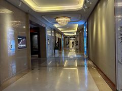 -郑州新郑国际机场T2航站楼-贵宾厅B区