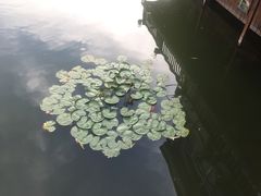 -东湖食堂·湖景餐厅•会议