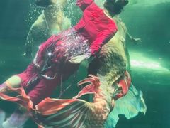 -大明湖海底世界