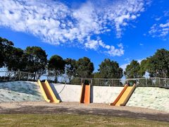 -春花秋色城市公园