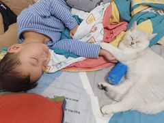 -lincat·猫舍(广州店)