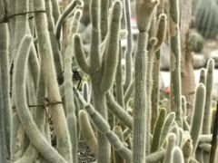 -南山植物园