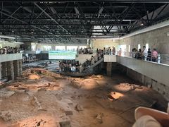 -自贡恐龙博物馆