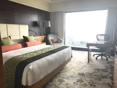 -新加坡文华东方酒店