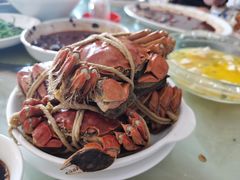 大闸蟹-君豪蟹都·湖景·农家乐(蟹舫苑店)