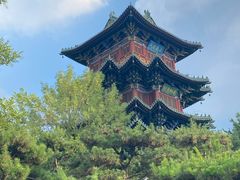 -迎泽公园