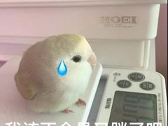 -水禾轩·海鲜蒸汽主题餐厅(拱北店)
