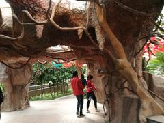 -石家庄市植物园
