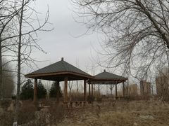 -东坝千亩湖公园
