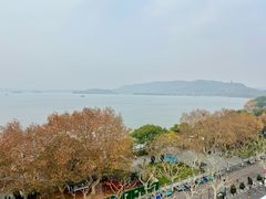 -杭州君悦酒店