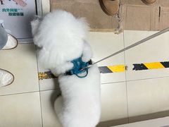 -宠福鑫康馨动物医院·骨科·眼科