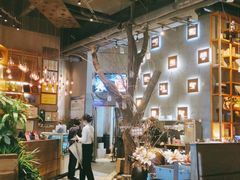 大堂-同仁四季椰子鸡(宝安壹方城店)