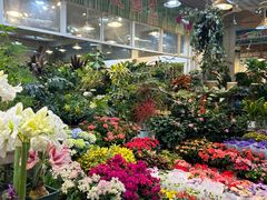 -双季花艺园艺市场(浦东店)