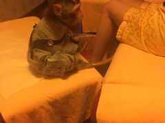 -盤古Spa泰式古法抓龙筋(鲁迅路店)